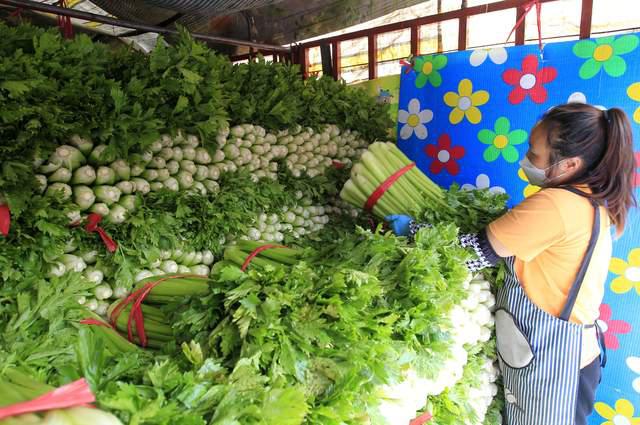 桥西蔬菜中心批发市场:果品蔬菜品种丰富,价格平稳