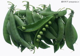 新鲜蔬菜0193