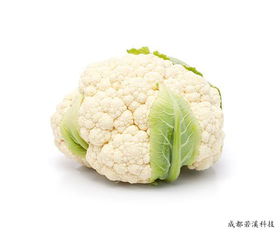 广东水果蔬菜加盟连锁店多少钱