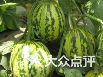 大同县连锁大全,点击查看全部1家分店