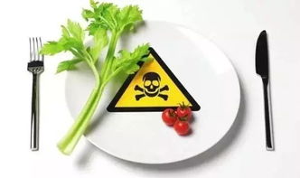 怀孕可以吃的肉类 水果 蔬菜 水产 干果 零食一应俱全 收好不谢
