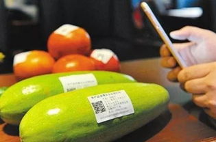 探索区块链在食品安全领域的运用
