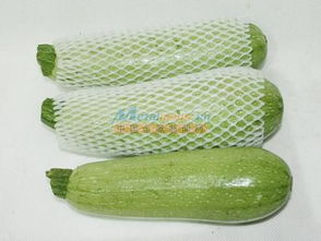优良的蔬菜水果网套供应商当属皇城塑料厂 专业蔬菜网套