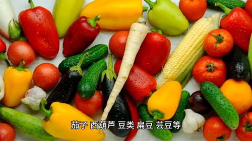 知道我吃的什么蔬菜 今日头条