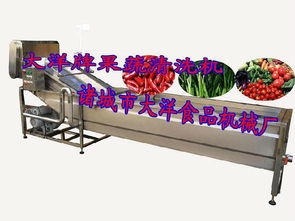 水果蔬菜消毒清洗机,翻浪净菜机价格 厂家 图片