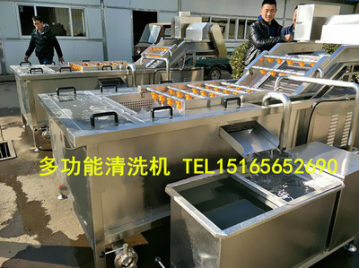 不锈钢洗鱼机,鱼类清洗机,鱼类工厂洗鱼机价格,洗鱼机生产厂家