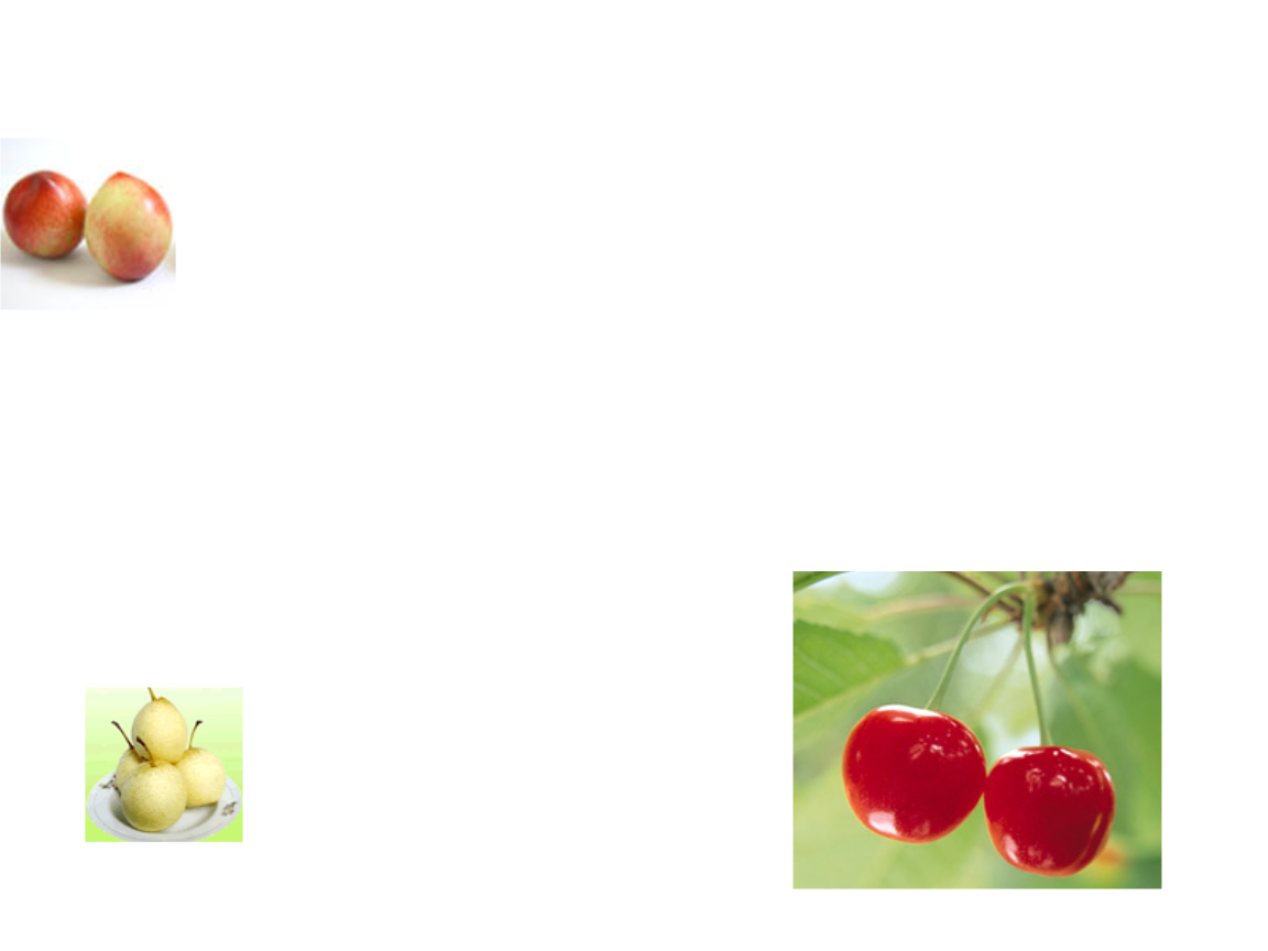 果品蔬菜贮藏运.ppt