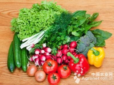 姜柄瓜种植周期与预包装食品相关知识