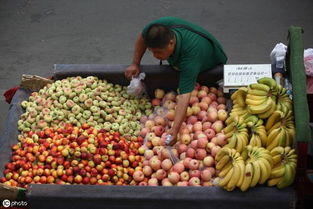 水果与粮食价格反差 谁在控制中国粮价及预包装食品市场?